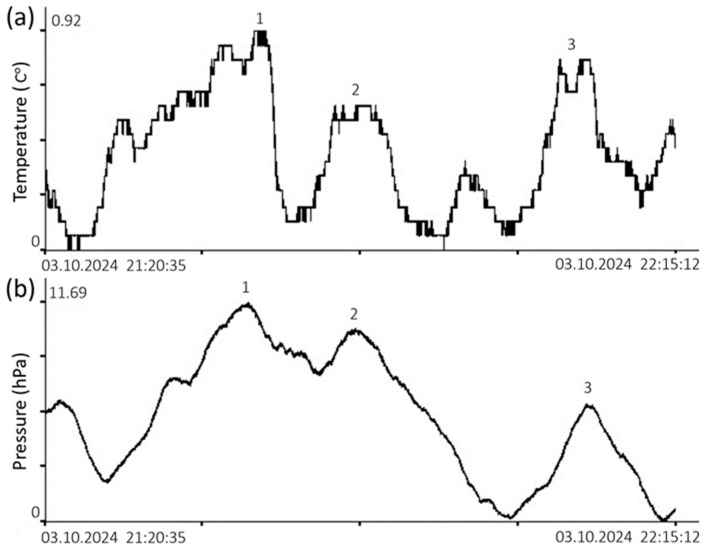 Figure 20