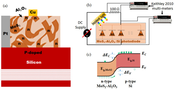 Figure 12