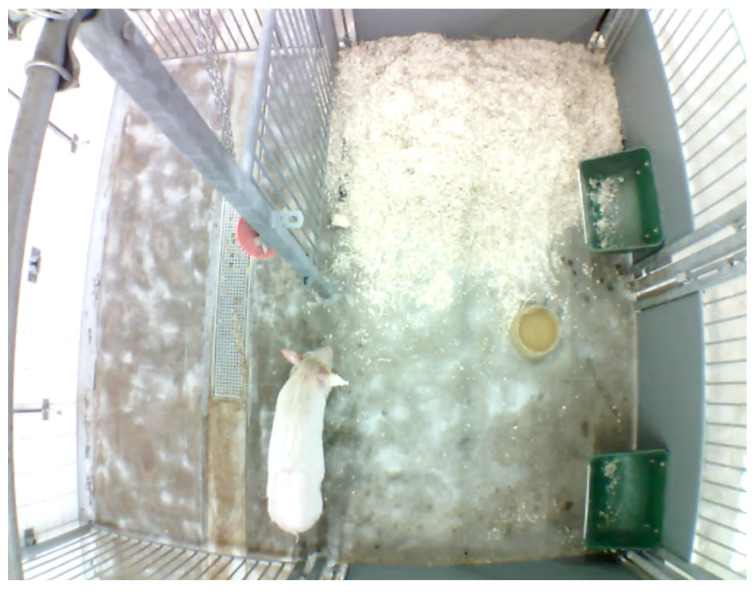 Figure 12