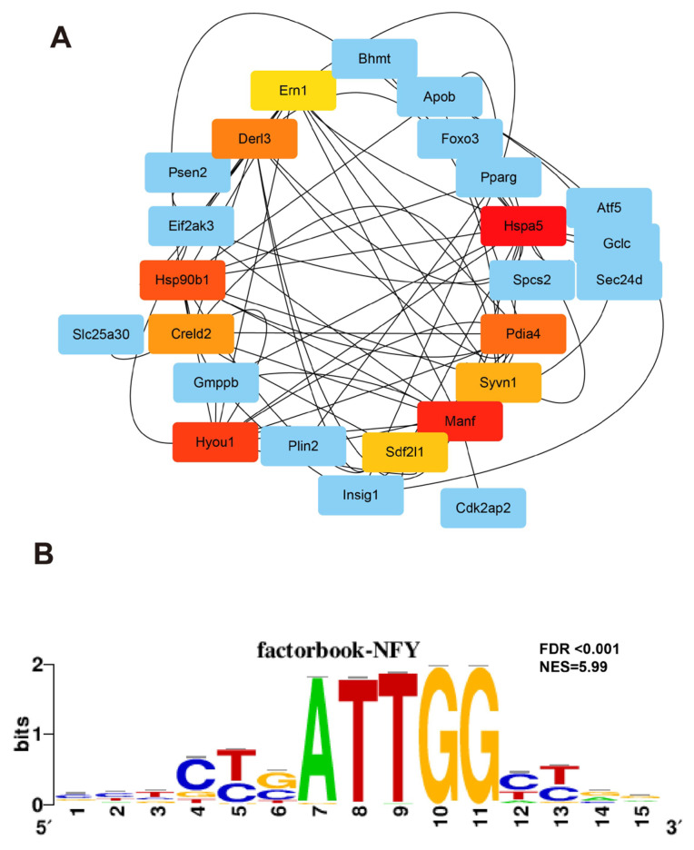 Figure 10