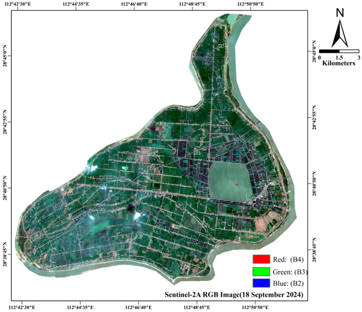 Figure 12