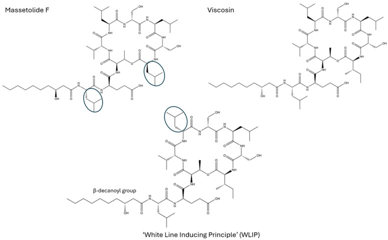 Figure 5