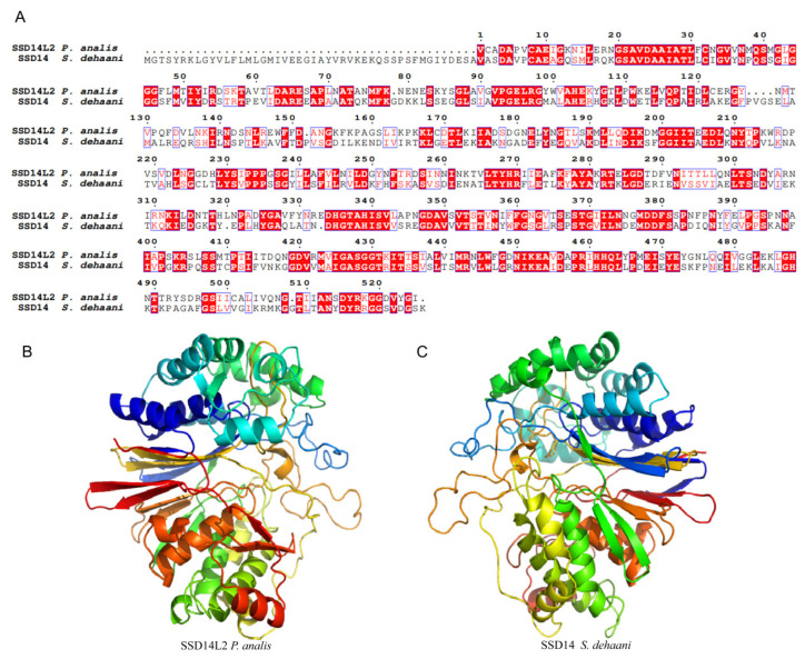 Figure 7