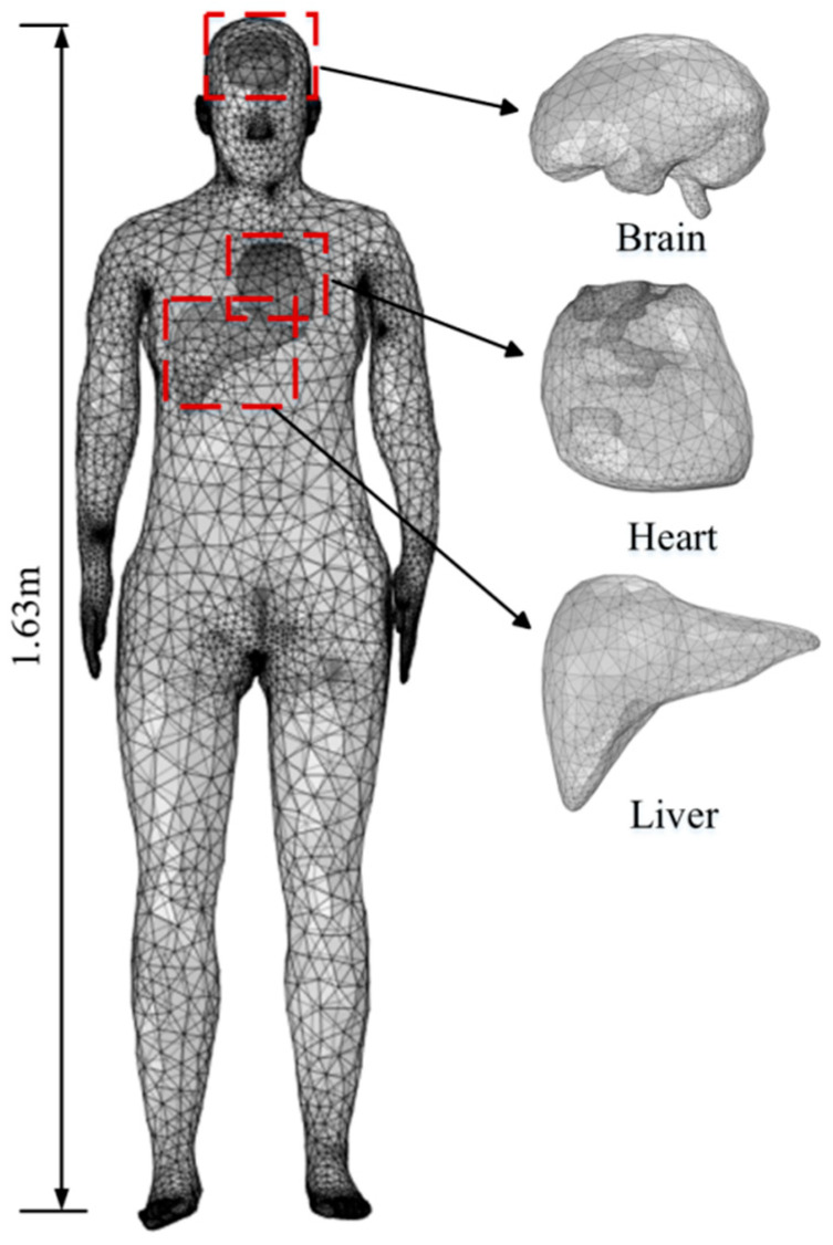 Figure 8