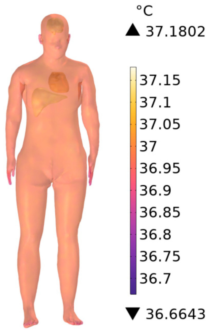 Figure 24