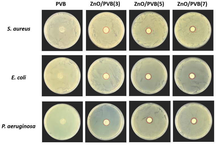 Figure 13