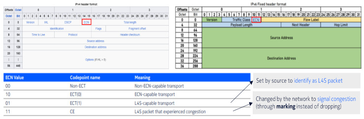 Figure 21