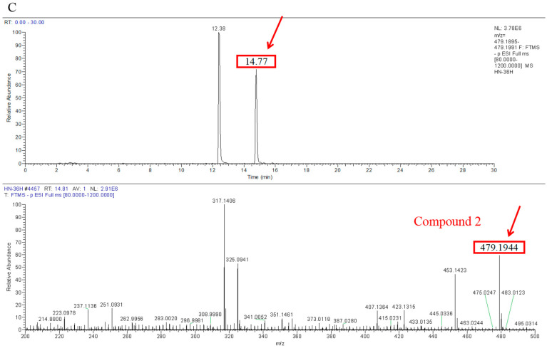 Figure 11