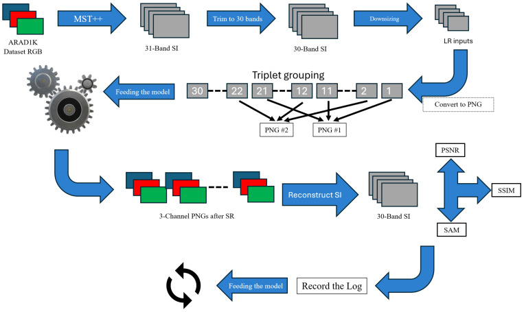 Figure 1