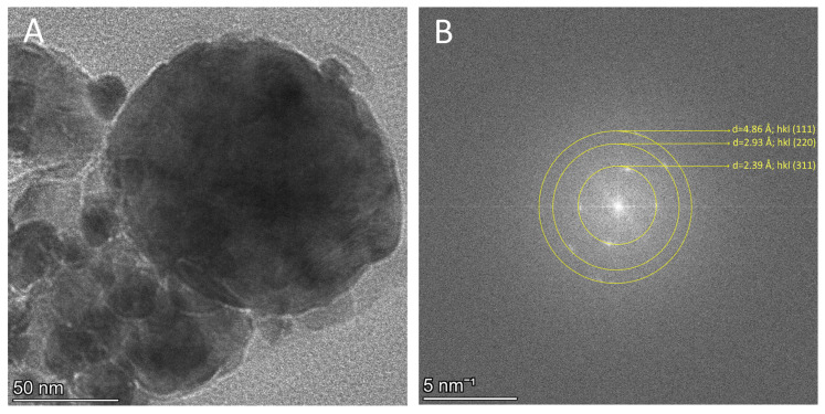 Figure 11