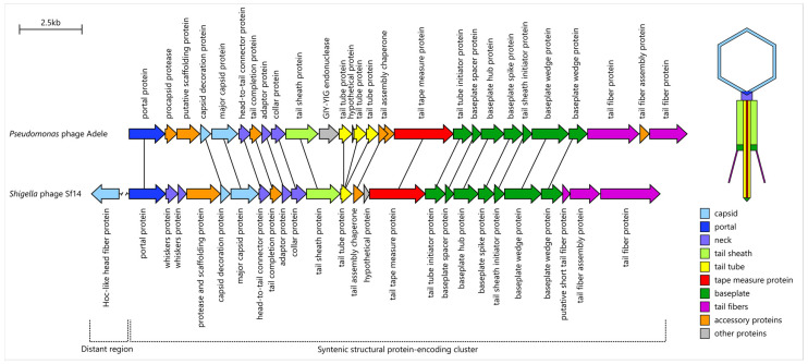 Figure 13