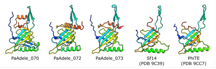 Figure 14