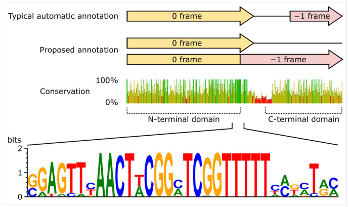 Figure 16