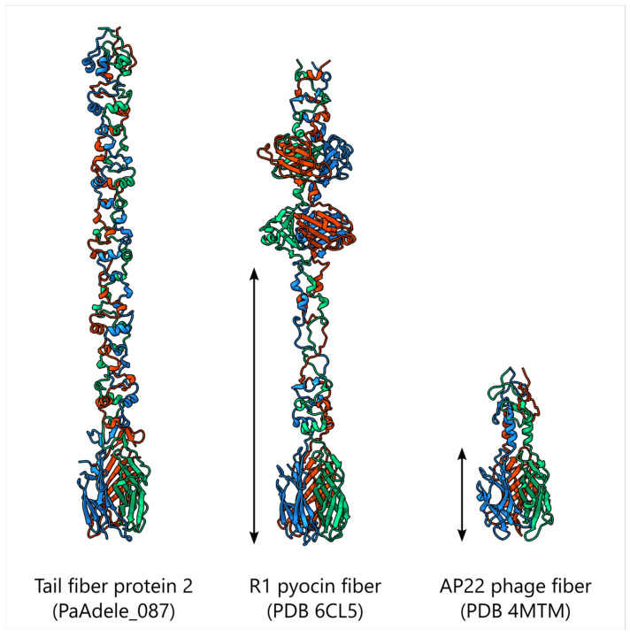 Figure 17