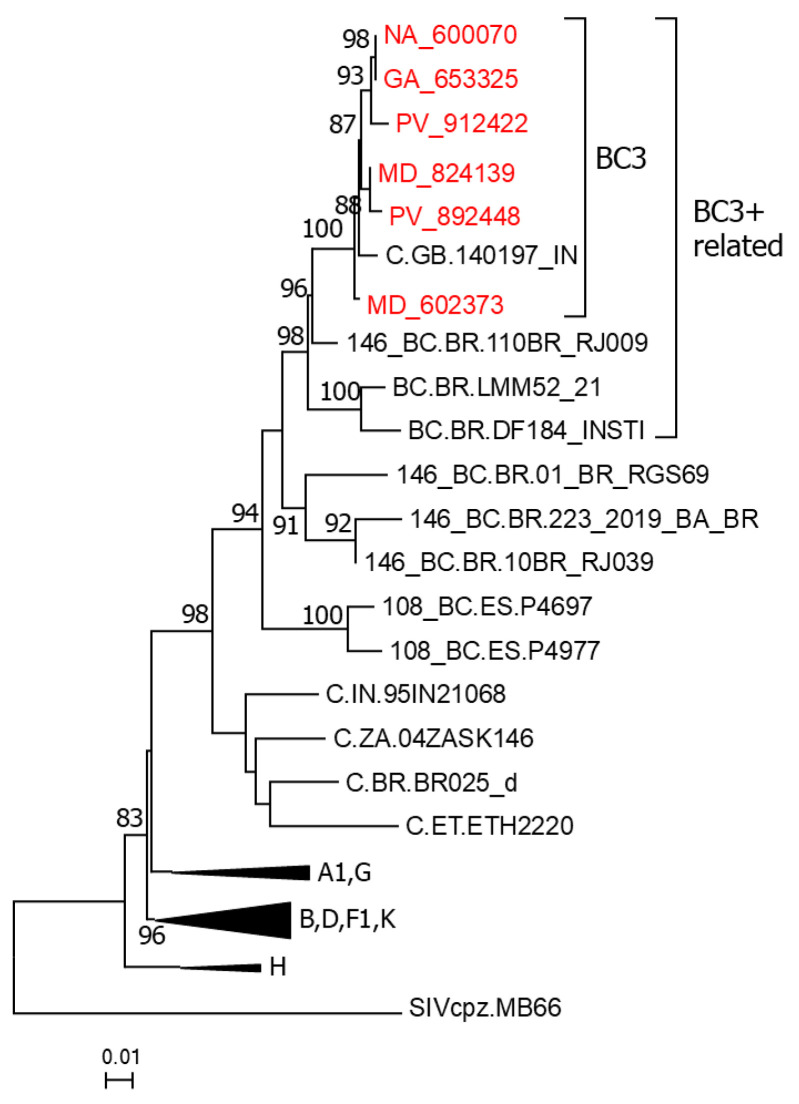 Figure 2