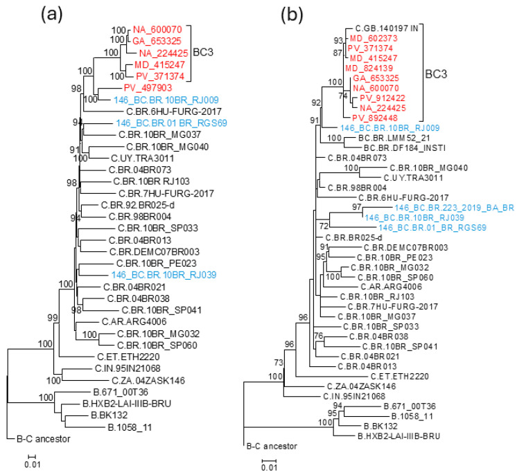 Figure 7