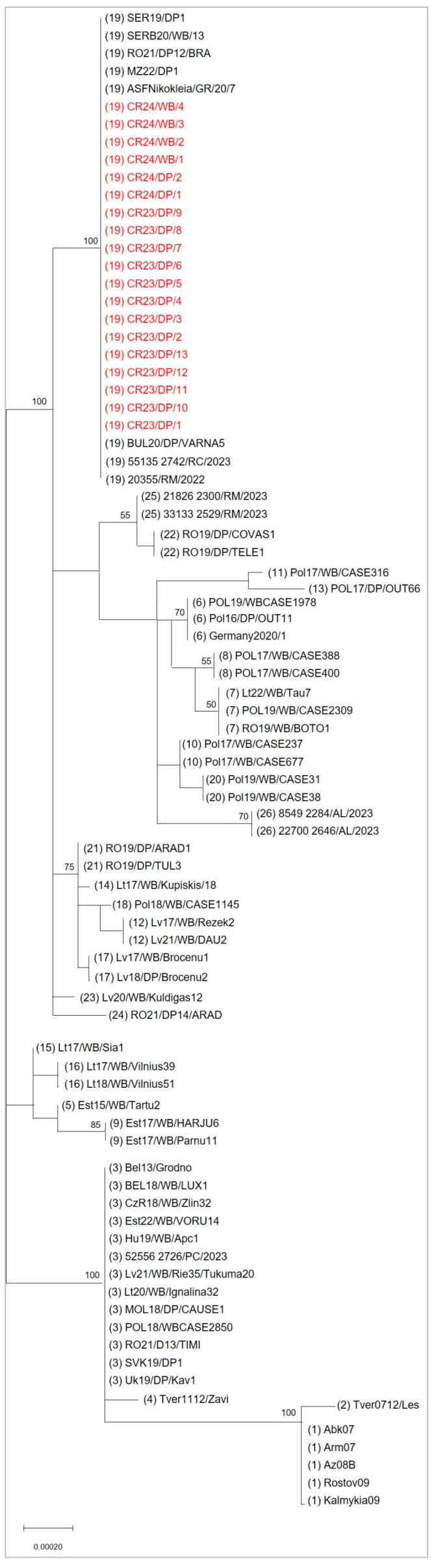 Figure 4