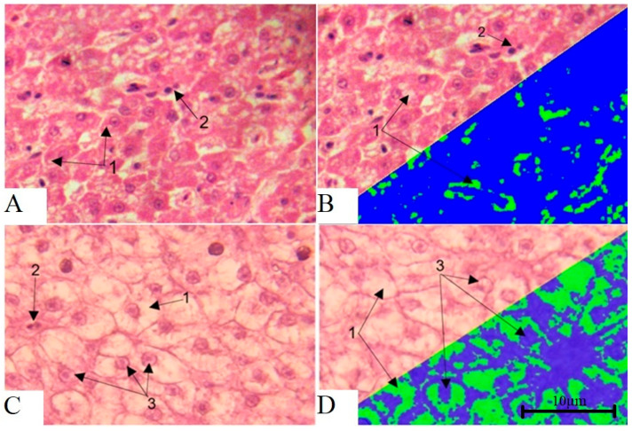 Figure 16