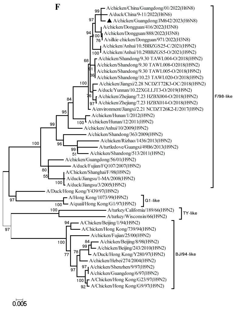 Figure 6