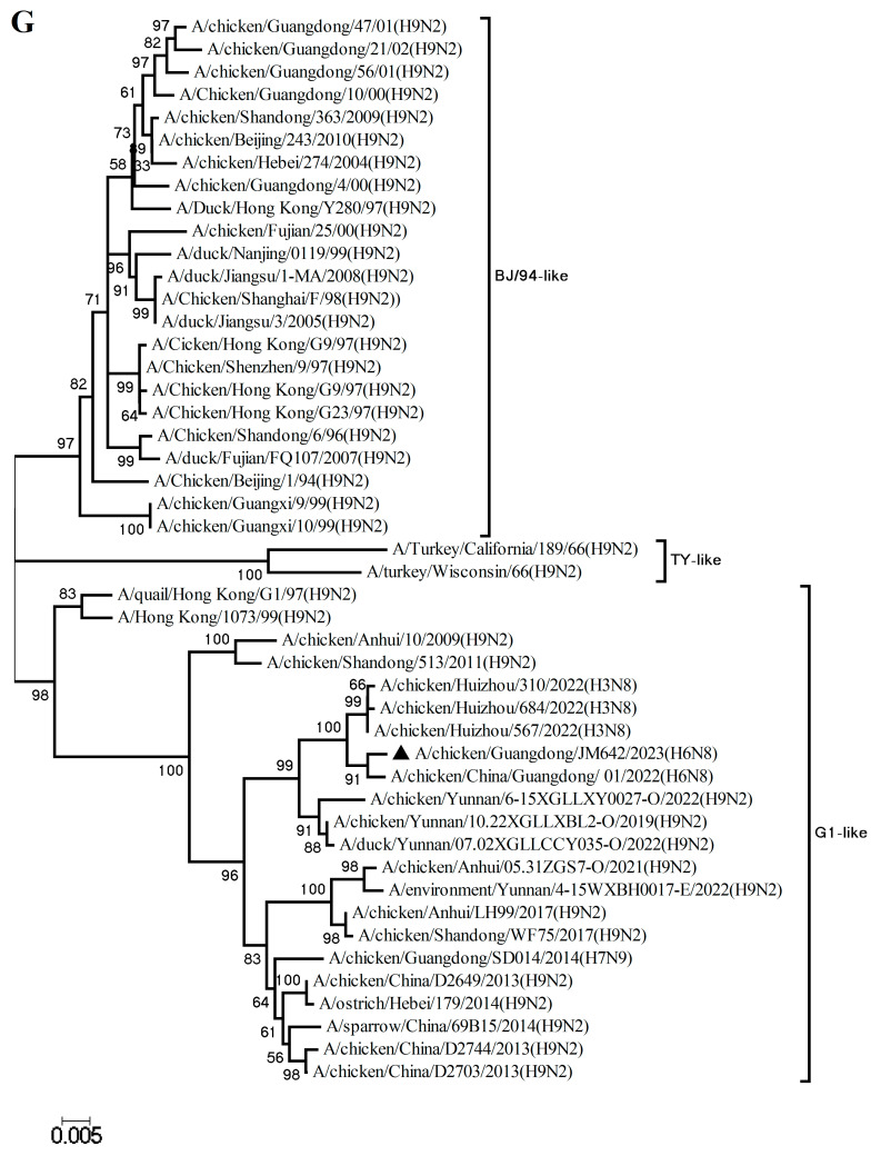 Figure 7