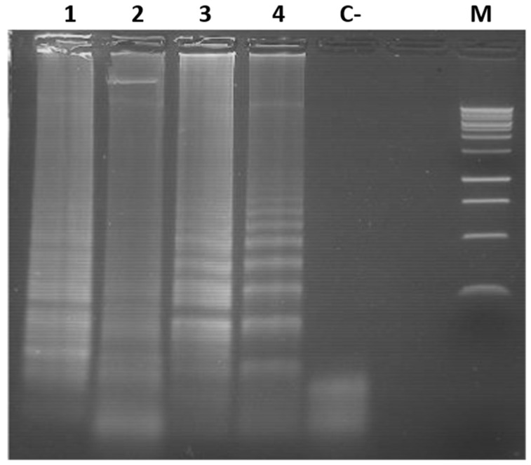 Figure 4