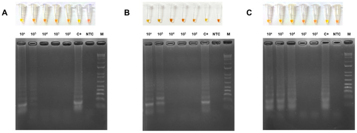 Figure 7