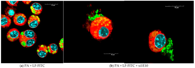 Figure 10