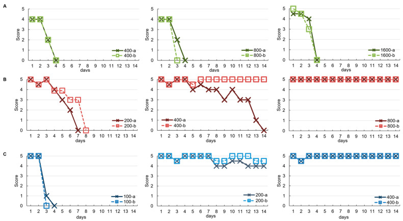 Figure 5