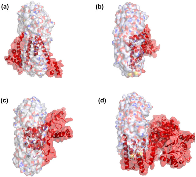 Figure 6