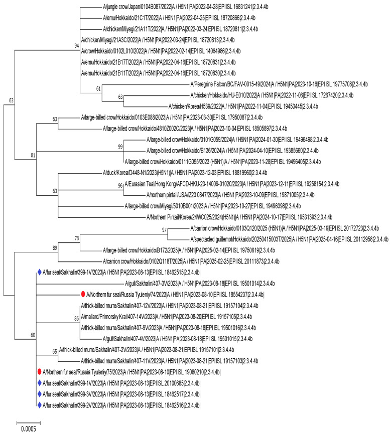 Figure 12
