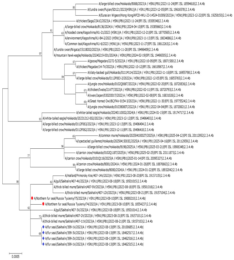 Figure 13