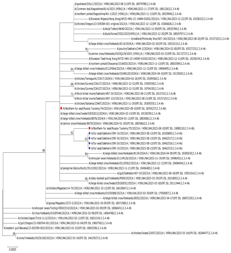 Figure 19