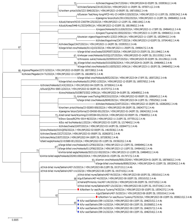 Figure 20