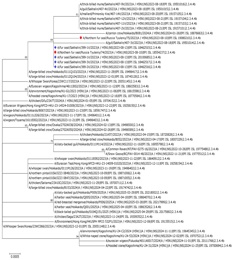 Figure 21
