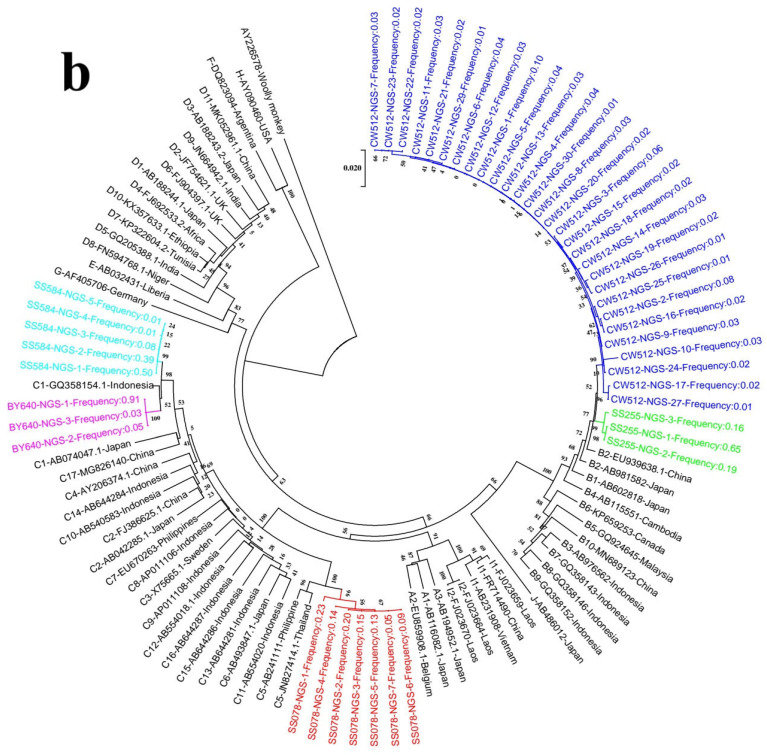 Figure 7