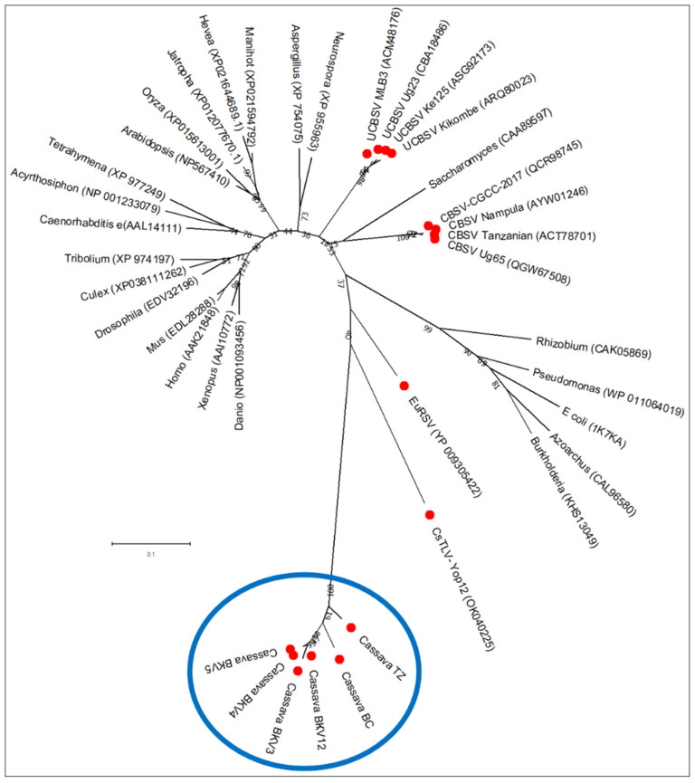 Figure 10