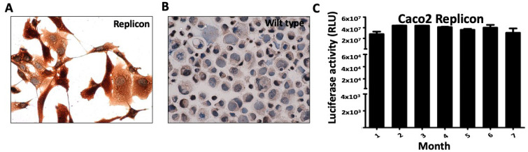 Figure 14