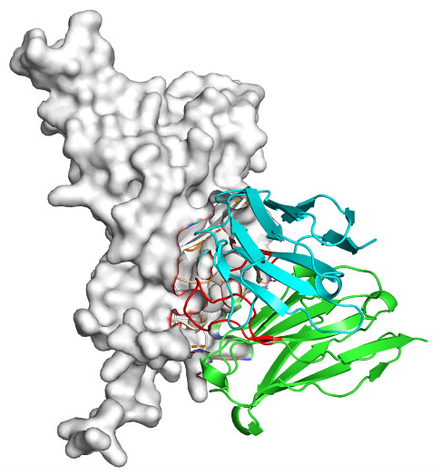 Figure 6
