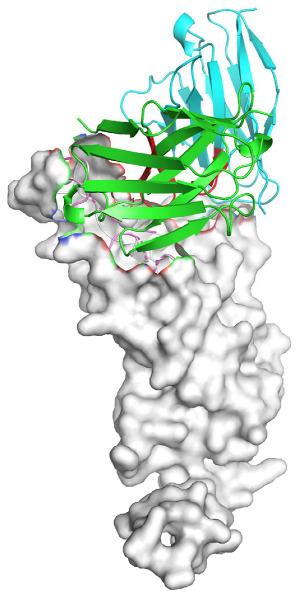 Figure 9