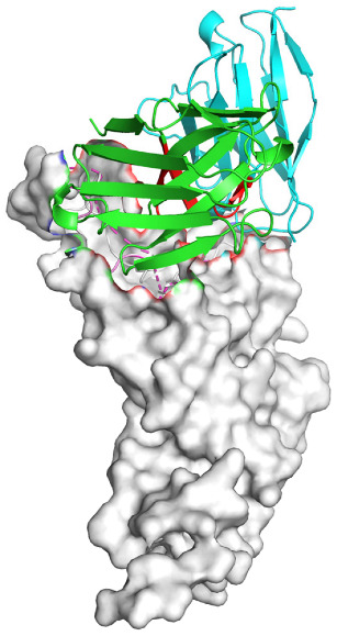 Figure 10