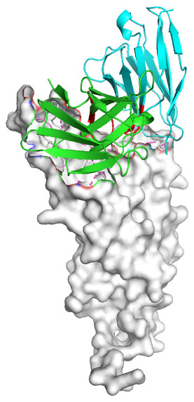Figure 11