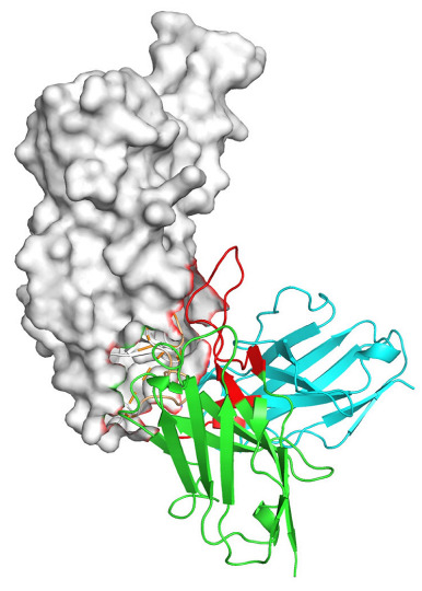 Figure 12