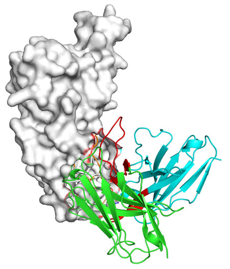 Figure 13