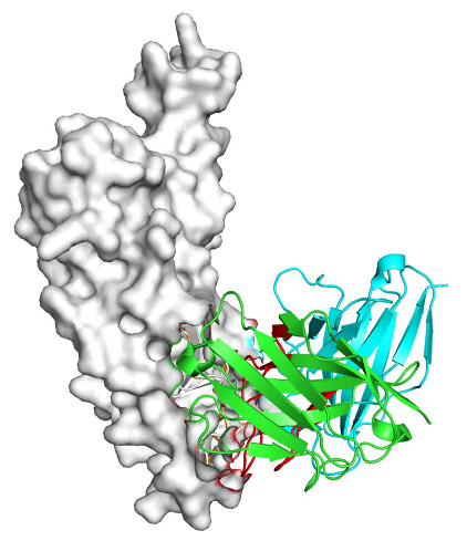 Figure 14