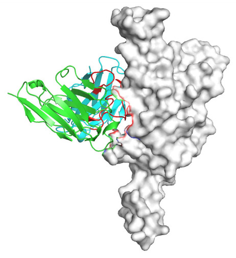 Figure 15
