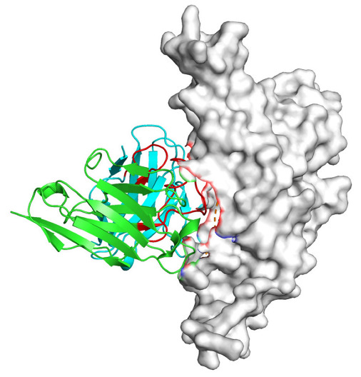 Figure 16
