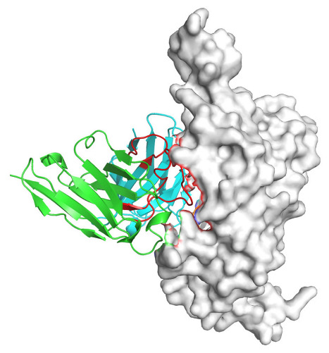 Figure 17