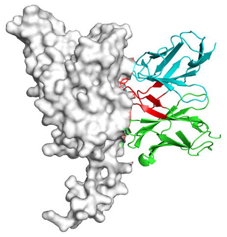 Figure 18