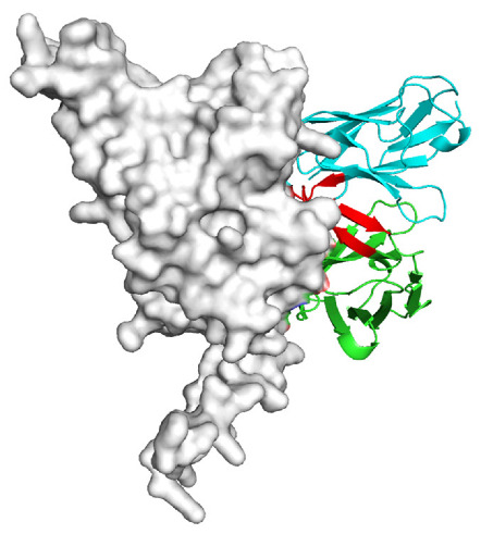 Figure 19