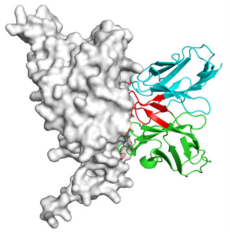 Figure 20
